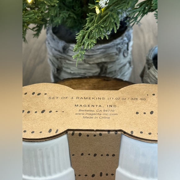 ✨ Brand NEW in Box Rae Dunn Set of 4 Ramekins- NUTS SPRINKLES CHERRIES CANDY ✨ - Picture 10 of 11